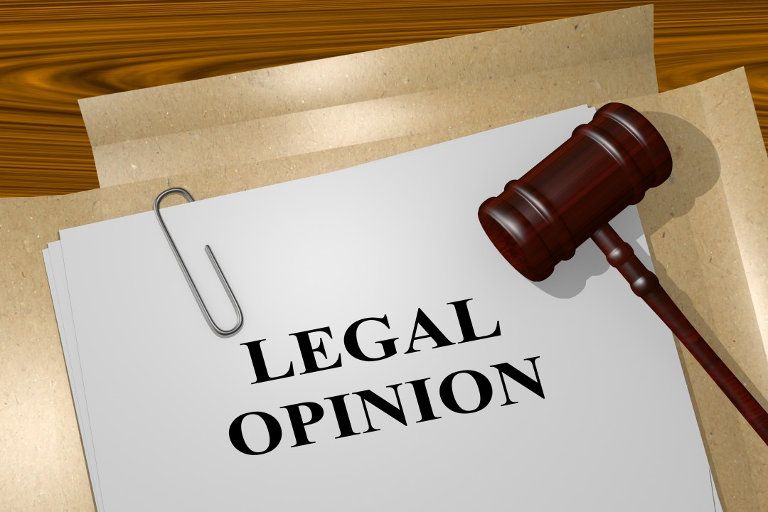 Legal Opinion Services